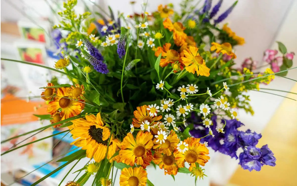 Spagyrik in der Naturheilpraxis Janka Nerlich Leipzig
